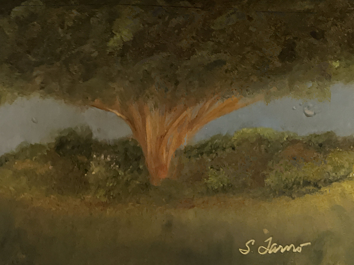 Finch Park in McKinney, Texas Original Oil Painting