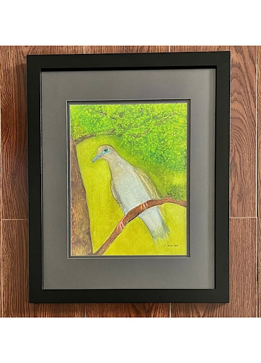 Original Backyard White Wing Dove Painting