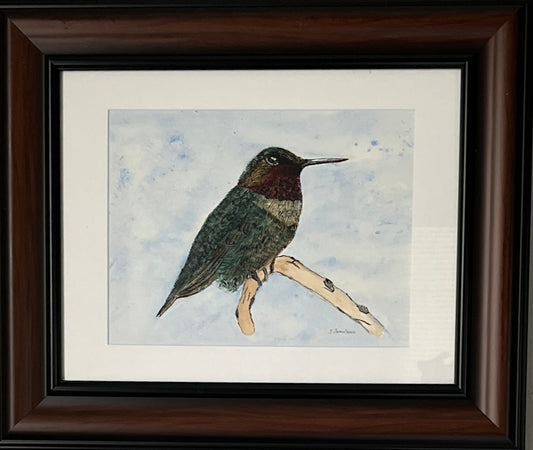 Original Watercolor and Ink “Hummingbird”