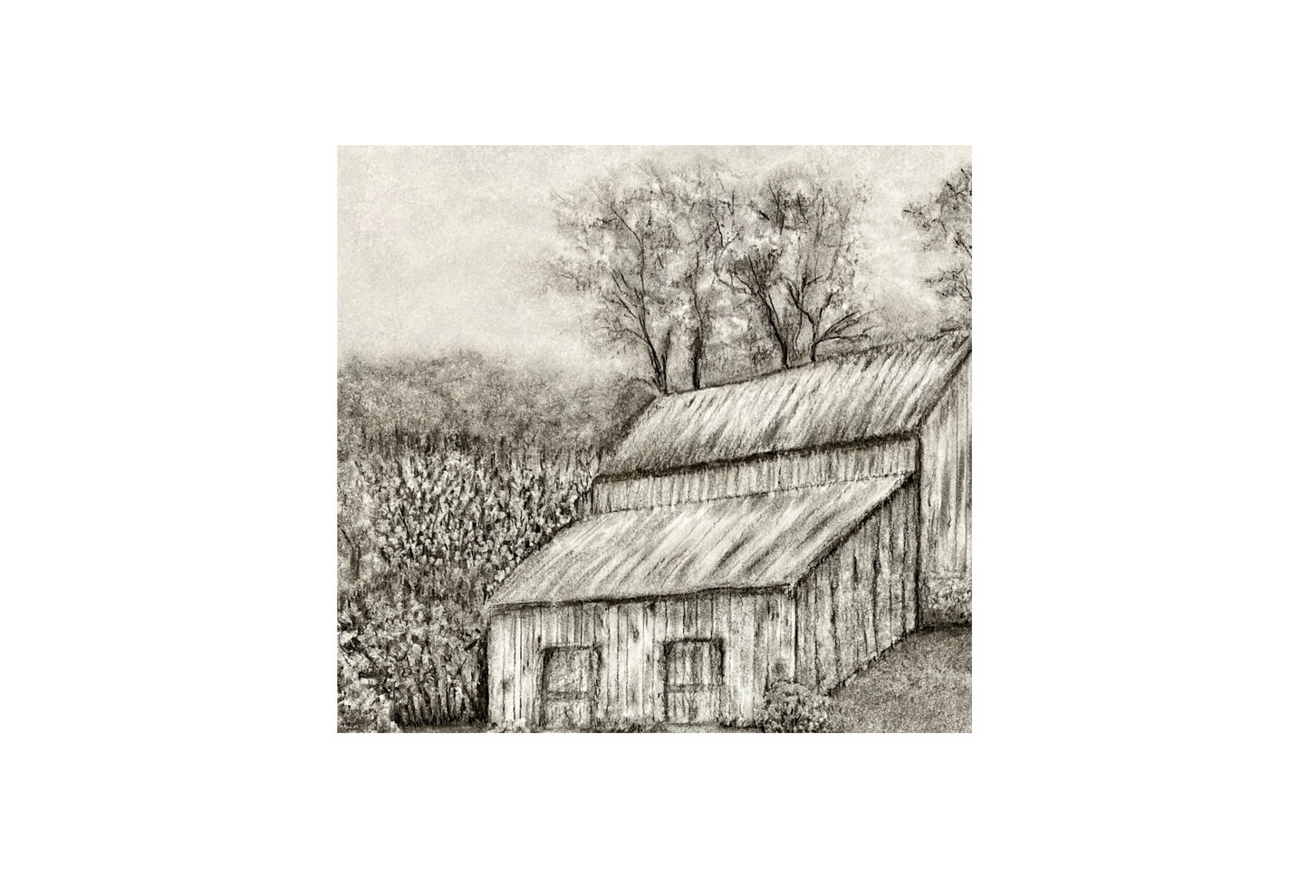 Quiet on the Ridge Original Charcoal Drawing