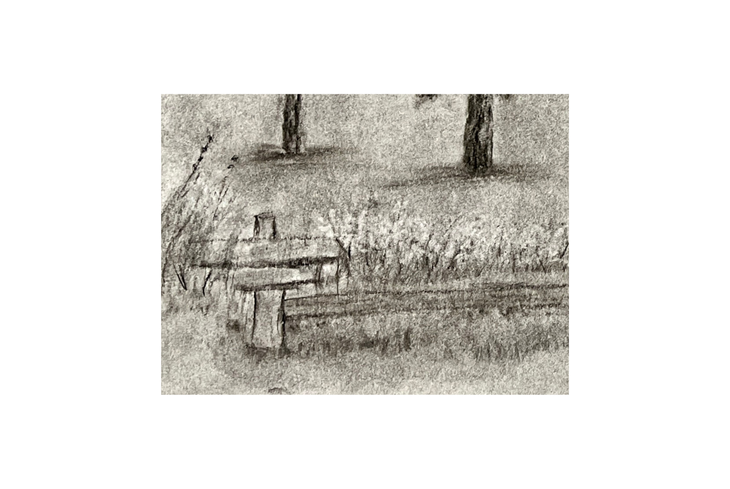 Quiet on the Ridge Original Charcoal Drawing